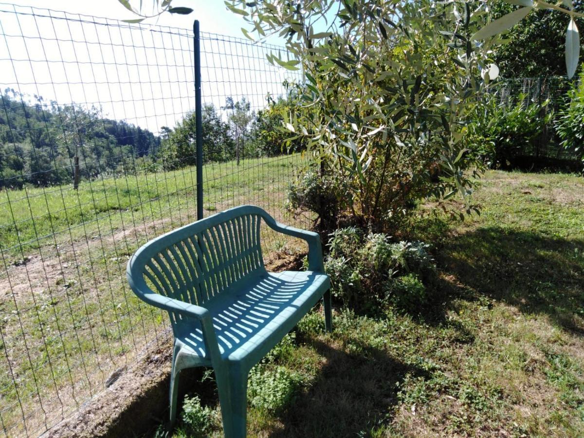 La Collina Appartement Riccò del Golfo di Spezia Buitenkant foto